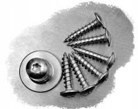 6x30 WKRĘT DO DREWNA DRZEWA GRZYBKOWY NIERDZEWNY 9125(10)