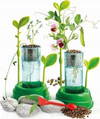 Zestaw edukacyjny dla dzieci eksperymenty botaniczne rośliny uprawa 8+