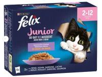Felix JUNIOR saszetki 12x85g Mix w galarecie dla Kociąt
