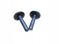 BRIGGS STRATTON SPRINT 40 ZAWÓR ZAWORY KOMPLET