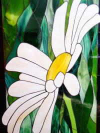 Stokrotka panel witrażowy Obraz Przeszklenie Kwiat