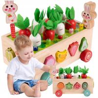 МОНТЕССОРИ ГОЛОВОЛОМКА ДЕРЕВЯННЫЙ БЛОК СОРТИРОВЩИК ПОЙМАТЬ ЧЕРВЯ МОРКОВЬ ТЕЛЕЖКА