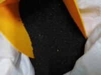 Rzepak Paszowy 1kg Ziarno dla Gołębi, Ptactwa i Zwierząt Hodowlanych Karma