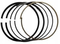 PIERŚCIENIE BRIGGS&STRATTON QUANTUM CIENKIE 499425