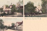 Żyrowa widokowa - Reprodukcja 41470