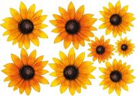 NAKLEJKA na samochód KWIATY RUDBEKIA