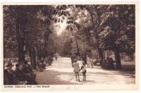 RADOM~Park Miejski~ Stadtlischer Park~ 1941 ~Wojna ~Stempel -wrona swastyka