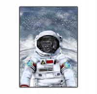 Plakat autorski kosmonauta kosmos planety małpa a4