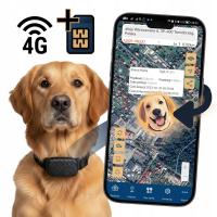 LOKALIZATOR GPS 4G BEZ ABONAMENTU PSA KOTA UCHWYT DŁUGI CZAS PRACY