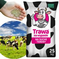 Trawa Pastewna Pastwiskowa 25kg Łąkowa Tereny Suche Mieszanka Do Wypasu