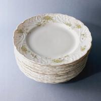 Fraureuth koniec XIX w PRZEPIĘKNE duże TALERZE PORCELANOWE 9 sztuk