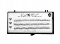 Lash Brow Lashes пучки V Ким ресницы 10в1 V форма клей бесплатно