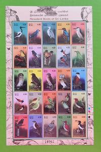 Fauna - Ptak - Sri Lanka