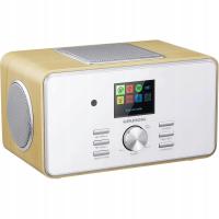 Радио сети AM , DAB, FM, интернет Grundig DTR 6000