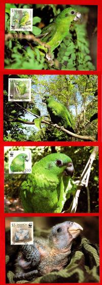 Jamajka / 1125-1128 / 4-kartki pocztowe FDC ( Fauna - WWF ) 2006 r.