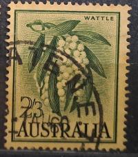 Australia luzak kas - 22/6