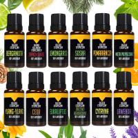 Zestaw Olejków Premium 12x10ml do Aromaterapii Nawilżacza Sauny Kąpieli