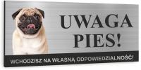 Tabliczka UWAGA ZŁY PIES - MOPS aluminium dibond