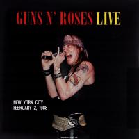 GUNS N' ROSES: LIVE IN NEW YORK CITY / FEBRUARY 2