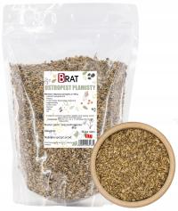 OSTROPEST PLAMISTY ZIARNO 1kg Świeży naturalny wątroba sylimaryna