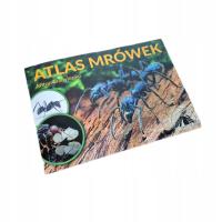 Atlas Mrówek - jedyna taka książka o Mrówkach + poradnik do hodowli