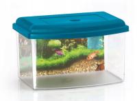 Plastikowe akwarium/kotnik z pokrywką i uchwytem do przenoszenia 5,5l