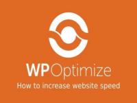 Wtyczka WP Optimize Premium