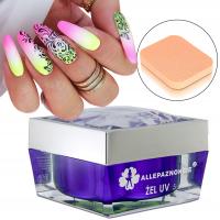 Artistic Gel Paint гель для ногтей Ombre Stick Patterns 5G выбор цвета