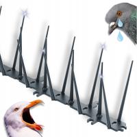 KOLCE na PTAKI BEZPIECZNE nierdzewne przeciw ptakom WYSOKIE 8cm KOLORY