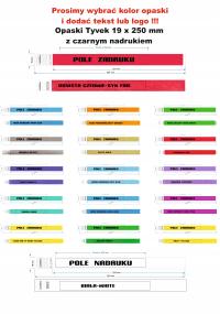 Выпускные браслеты Tyvek 100 печать