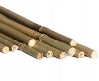 Tyczka Podpora do Roślin 120cm Bambusowa