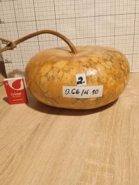 Тыква древесный плод