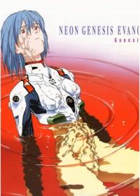 Plakat Anime Neon Genesis Evangelion NGE_275 A3