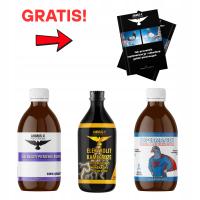 PREPARATY na pierzenie dla gołębi pocztowych. Witaminy i aminokwasy