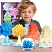 HODOWLA KRYSZTAŁÓW ZESTAW 2W1 4 X KRYSTALICZNE DRZEWKO + DUŻY KRYSZTAŁ 8+