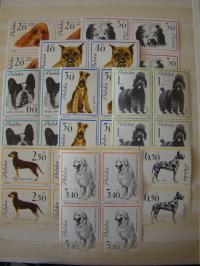 CZWÓRKI 1226 - 1234 Rasy Psów - czysty * *