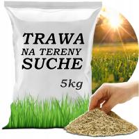 TRAWA NA TERENY SUCHE ODPORNA NA SUSZE BRAK WODY NASIONA 5kg 200m2