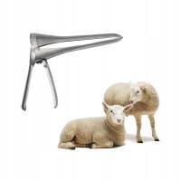 wziernik analny waginalny stalowy bardzo duży rozmiar jak dla OWCY