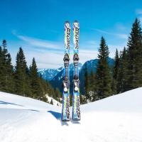 Nart 135 cm DYNASTAR TEAM PRO speed