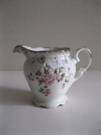 STARY ŚLICZNY MLECZNIK WAŁBRZYCH