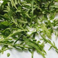 РУККОЛА листовые овощи, семена 1г