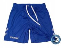 Hummel Мужские спортивные шорты до колена