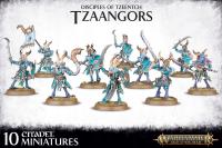 WARHAMMER AOS - TZEENTCH ARCANITES TZAANGORS