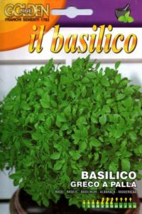 Bazylia FINE VERDE NANO COMPATTO A PALLA 3g