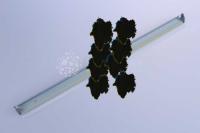 Плинтус ч.b. BLACK do Minolta Bizhub C451 C452 550