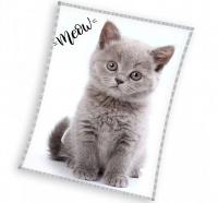 Koc polarowy duży Kotek 150x200