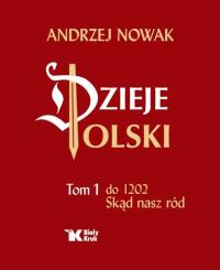 Solidnie i tanio! Dzieje Polski Tom 1 Andrzej Nowak