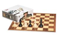 DGT Start Box-шахматы-шахматная фигура