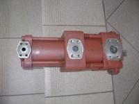 Pompa TRUNINGER AG 4H2-032