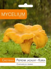 Лисичка, перец съедобный мицелий лесные грибы